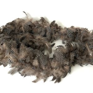 Natural feather stripe! 💃🏻